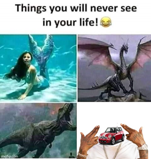 Things you will never see in your life | image tagged in things you will never see in your life | made w/ Imgflip meme maker