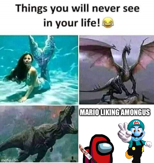Things you will never see in your life | MARIO LIKING AMONGUS | image tagged in things you will never see in your life | made w/ Imgflip meme maker