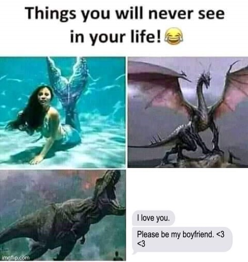 Things you will never see in your life | image tagged in things you will never see in your life | made w/ Imgflip meme maker