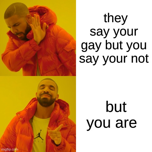 Drake Hotline Bling Meme | they say your gay but you say your not but you are | image tagged in memes,drake hotline bling | made w/ Imgflip meme maker