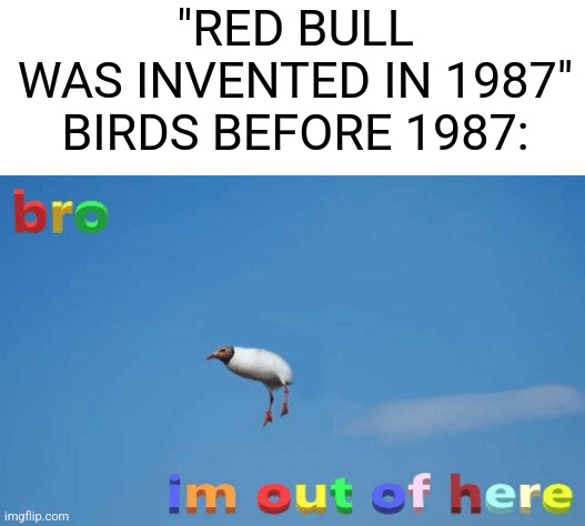 Birds be walking before 1987 |  "RED BULL WAS INVENTED IN 1987"

BIRDS BEFORE 1987: | image tagged in bro im out of here,red bull,fun,memes | made w/ Imgflip meme maker