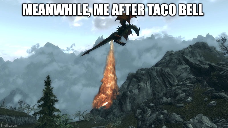 Rip bathroom | MEANWHILE, ME AFTER TACO BELL | image tagged in farting skyrim dragon | made w/ Imgflip meme maker