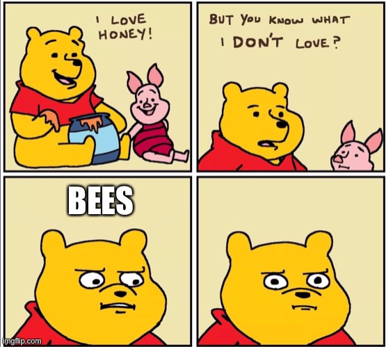 serious winnie the pooh | BEES | image tagged in serious winnie the pooh | made w/ Imgflip meme maker