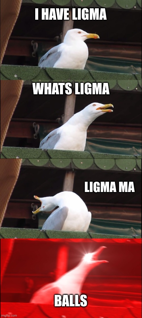 Inhaling Seagull Meme | I HAVE LIGMA WHATS LIGMA LIGMA MA BALLS | image tagged in memes,inhaling seagull | made w/ Imgflip meme maker