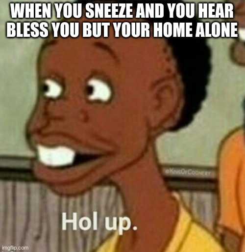 Hol Up |  WHEN YOU SNEEZE AND YOU HEAR BLESS YOU BUT YOUR HOME ALONE | image tagged in hol up,holy music stops | made w/ Imgflip meme maker