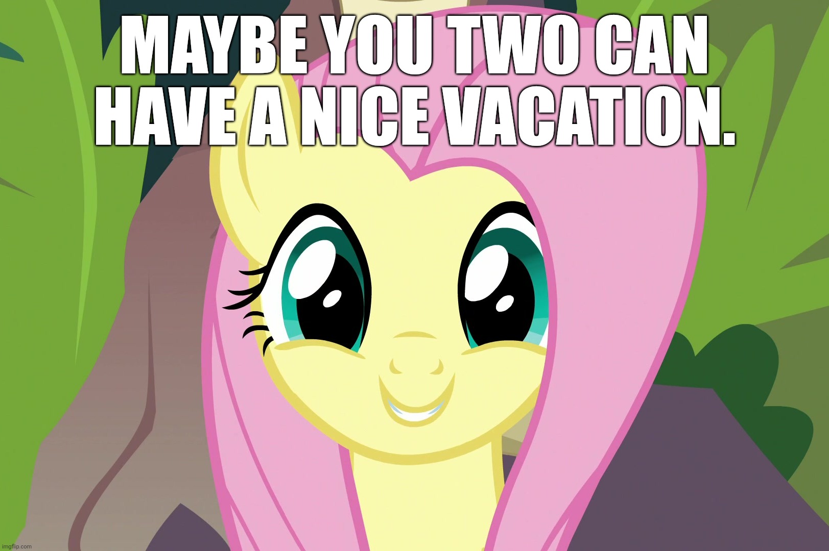 MAYBE YOU TWO CAN HAVE A NICE VACATION. | made w/ Imgflip meme maker