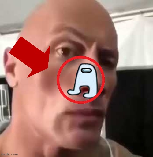 The Rock Eyebrows | image tagged in the rock eyebrows | made w/ Imgflip meme maker