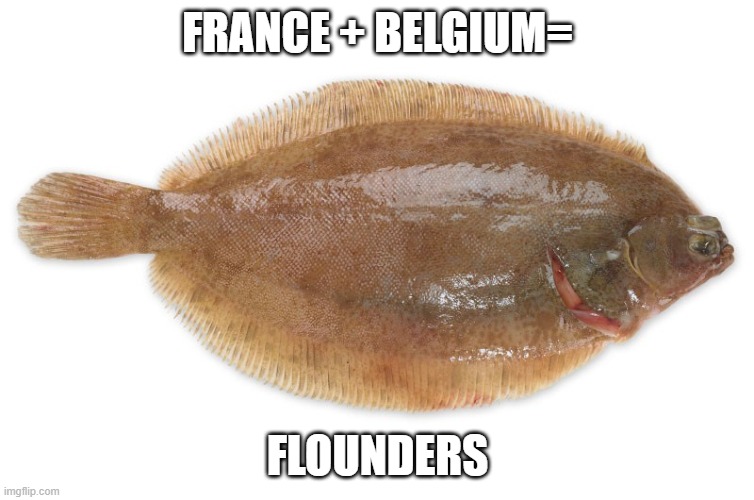 Solely | FRANCE + BELGIUM=; FLOUNDERS | image tagged in solely | made w/ Imgflip meme maker