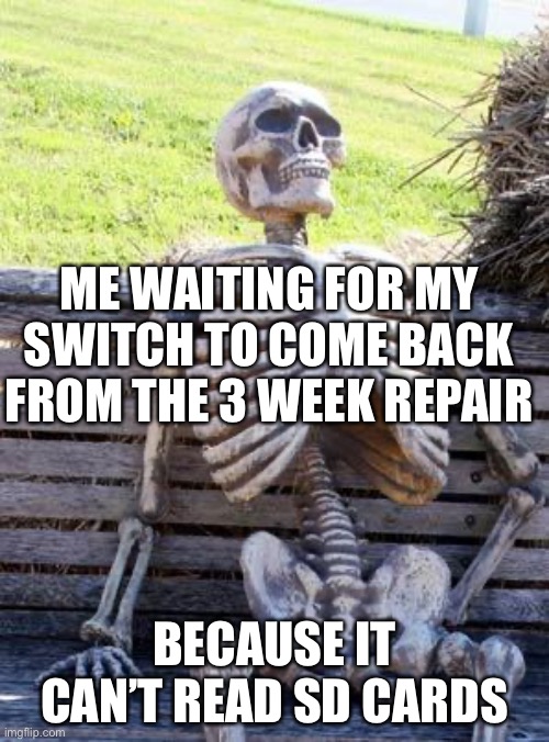Switch sports releases in 4 days and I have nothing to play it on -_- | ME WAITING FOR MY SWITCH TO COME BACK FROM THE 3 WEEK REPAIR; BECAUSE IT CAN’T READ SD CARDS | image tagged in memes,waiting skeleton,nintendo switch,help,switch | made w/ Imgflip meme maker