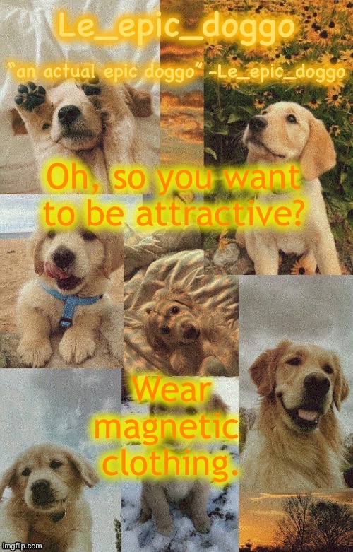 Doggo temp by doggo. Wait what that’s confusing | Oh, so you want to be attractive? Wear magnetic  clothing. | image tagged in doggo temp by doggo wait what that s confusing | made w/ Imgflip meme maker