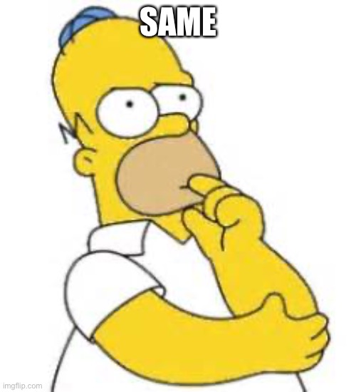 Homer Simpson Hmmmm | SAME | image tagged in homer simpson hmmmm | made w/ Imgflip meme maker