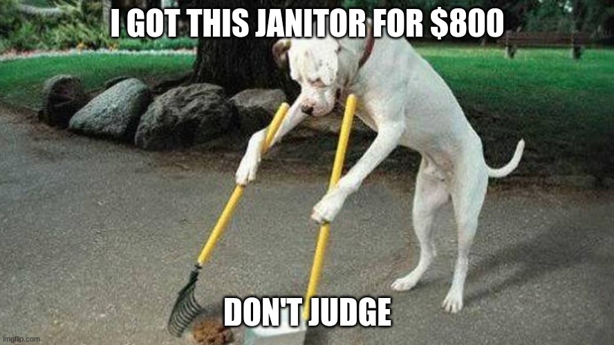 Clean it | I GOT THIS JANITOR FOR $800; DON'T JUDGE | image tagged in dog,janitor | made w/ Imgflip meme maker