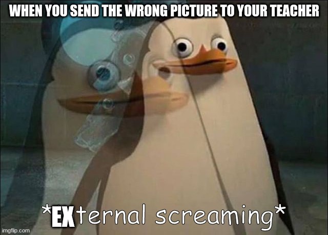 Private Internal Screaming | WHEN YOU SEND THE WRONG PICTURE TO YOUR TEACHER; EX | image tagged in private internal screaming | made w/ Imgflip meme maker