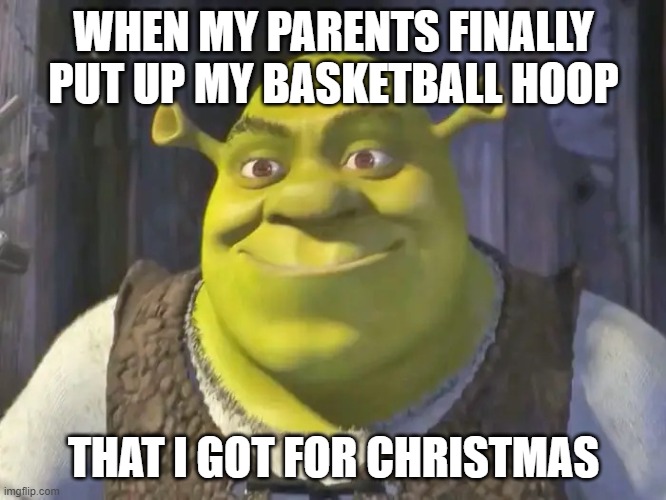 :D | WHEN MY PARENTS FINALLY PUT UP MY BASKETBALL HOOP; THAT I GOT FOR CHRISTMAS | image tagged in shrek | made w/ Imgflip meme maker