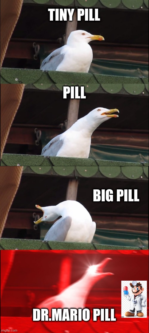 seagull pill | TINY PILL; PILL; BIG PILL; DR.MARIO PILL | image tagged in memes,inhaling seagull | made w/ Imgflip meme maker