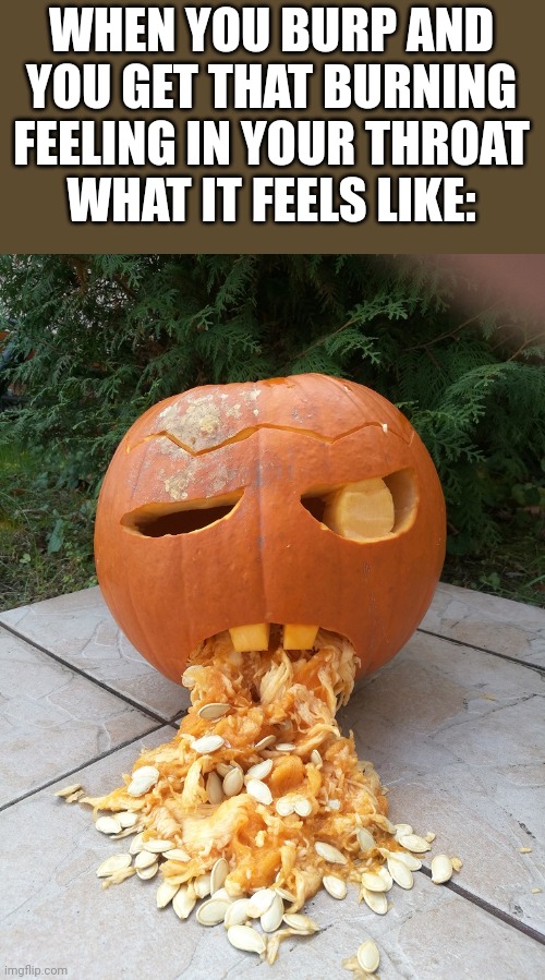 Halloween Pumkin Throwing Up | WHEN YOU BURP AND YOU GET THAT BURNING FEELING IN YOUR THROAT
WHAT IT FEELS LIKE: | image tagged in halloween pumkin throwing up | made w/ Imgflip meme maker