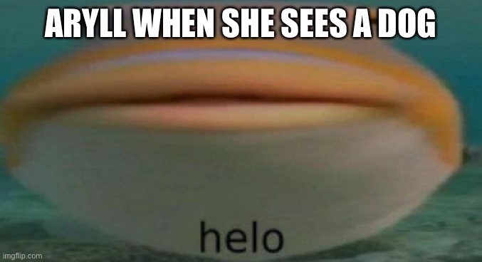 Oc meme (Aryll loves dogs) | ARYLL WHEN SHE SEES A DOG | image tagged in helo | made w/ Imgflip meme maker