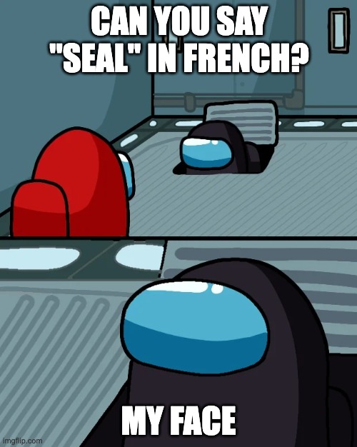 impostor of the vent | CAN YOU SAY "SEAL" IN FRENCH? MY FACE | image tagged in impostor of the vent | made w/ Imgflip meme maker