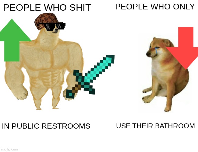 dong bong | PEOPLE WHO SHIT; PEOPLE WHO ONLY; IN PUBLIC RESTROOMS; USE THEIR BATHROOM | image tagged in memes,buff doge vs cheems | made w/ Imgflip meme maker