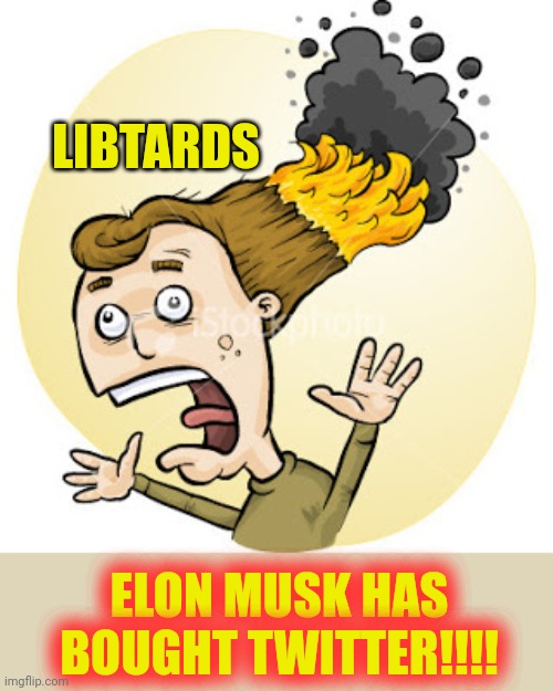 Hair on Fire | LIBTARDS; ELON MUSK HAS BOUGHT TWITTER!!!! | image tagged in hair on fire | made w/ Imgflip meme maker