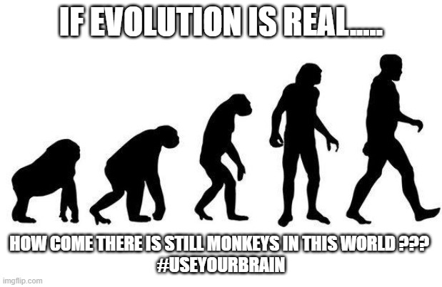 Human Evolution | IF EVOLUTION IS REAL..... HOW COME THERE IS STILL MONKEYS IN THIS WORLD ??? 
#USEYOURBRAIN | image tagged in human evolution | made w/ Imgflip meme maker