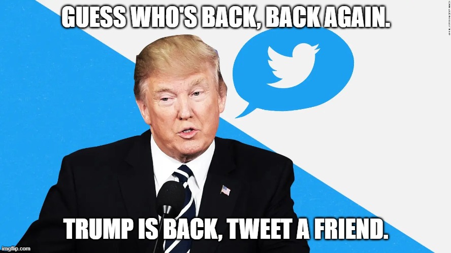Mean tweets | GUESS WHO'S BACK, BACK AGAIN. TRUMP IS BACK, TWEET A FRIEND. | image tagged in donald trump,trump twitter,elon musk,twitter | made w/ Imgflip meme maker