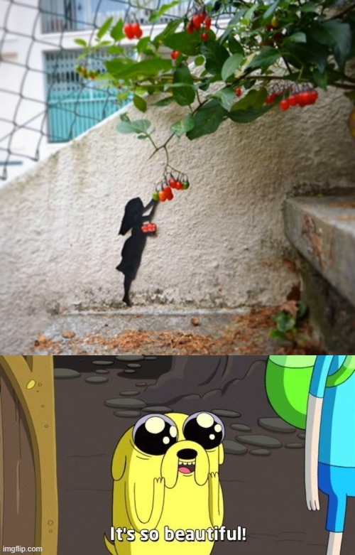image tagged in adventure time | made w/ Imgflip meme maker