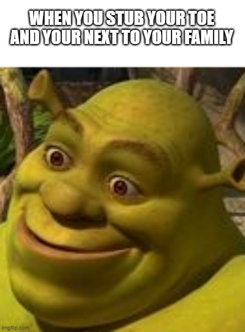 Shrek Face |  WHEN YOU STUB YOUR TOE AND YOUR NEXT TO YOUR FAMILY | image tagged in shrek face | made w/ Imgflip meme maker