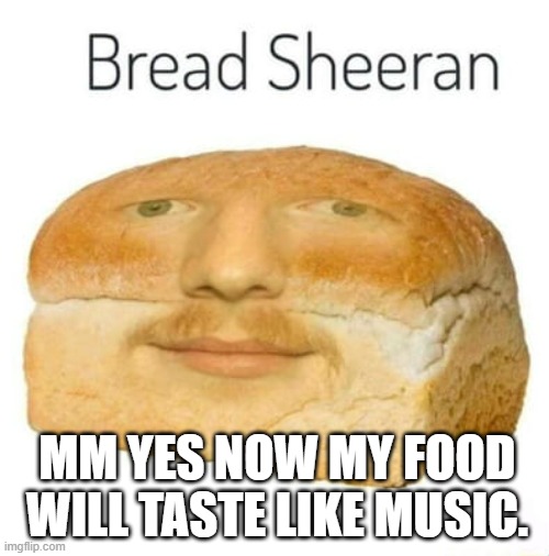 Bread Sheeran | MM YES NOW MY FOOD WILL TASTE LIKE MUSIC. | image tagged in bread sheeran | made w/ Imgflip meme maker