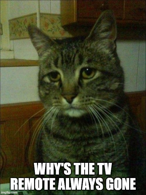 ....... |  WHY'S THE TV REMOTE ALWAYS GONE | image tagged in memes,depressed cat | made w/ Imgflip meme maker