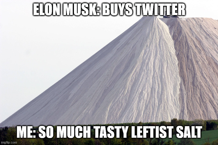 Elon Buys Twitter So Much Tasty Leftist Salt | ELON MUSK: BUYS TWITTER; ME: SO MUCH TASTY LEFTIST SALT | image tagged in salty | made w/ Imgflip meme maker
