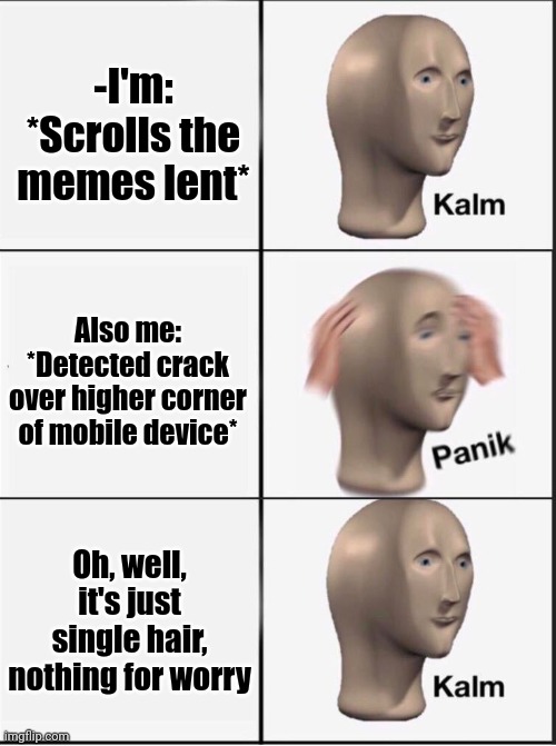 -Long shell. |  -I'm: *Scrolls the memes lent*; Also me: *Detected crack over higher corner of mobile device*; Oh, well, it's just single hair, nothing for worry | image tagged in reverse kalm panik,scratch,mobile,so true memes,long hair,why can't you just be normal | made w/ Imgflip meme maker