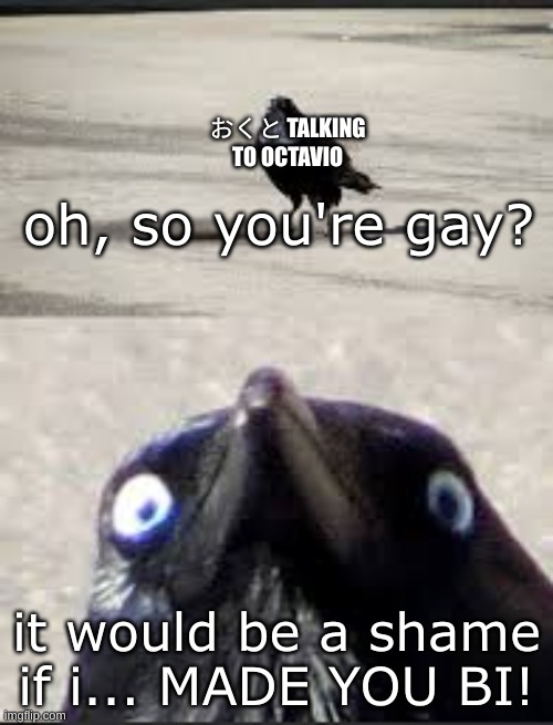It would be a shame bird | おくと TALKING TO OCTAVIO; oh, so you're gay? it would be a shame if i... MADE YOU BI! | image tagged in it would be a shame bird,drm oc | made w/ Imgflip meme maker
