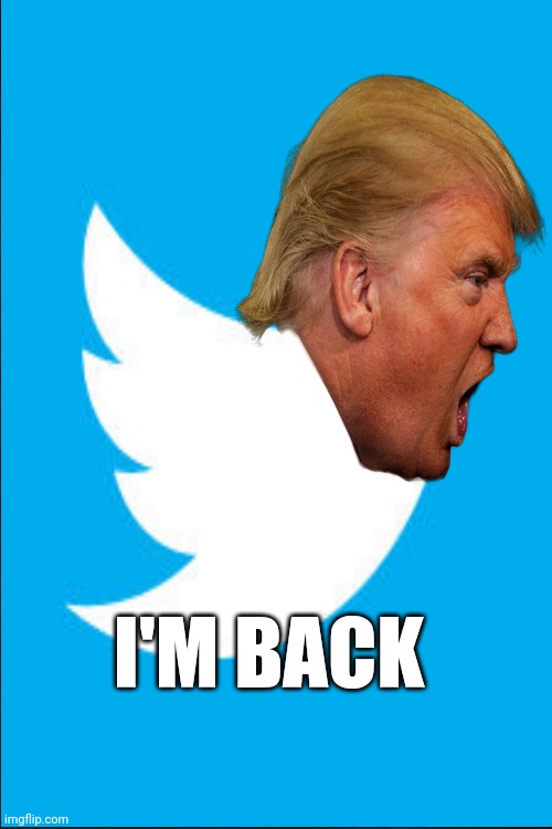 President Donald Trump is back on Twitter after being banned | I'M BACK | image tagged in elon musk,buyout,buys,tesla,facebook,ban | made w/ Imgflip meme maker