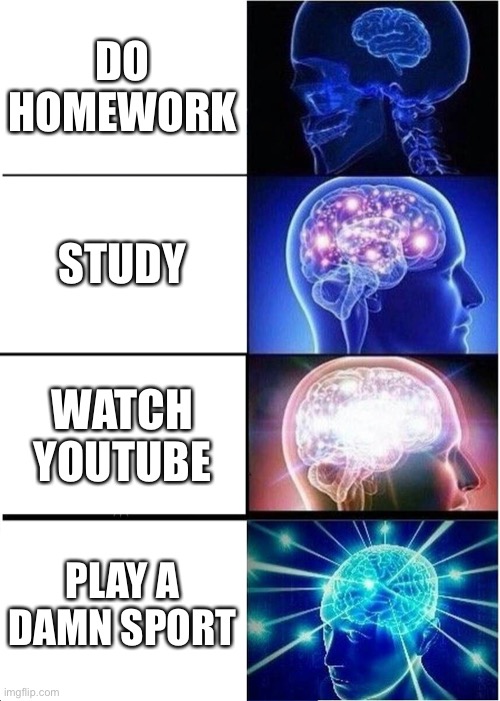 yes | DO HOMEWORK; STUDY; WATCH YOUTUBE; PLAY A DAMN SPORT | image tagged in memes,expanding brain | made w/ Imgflip meme maker