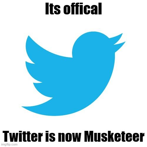 The son of a gun Elon Musk bought Twitter | Its offical; Twitter is now Musketeer | image tagged in twitter birds says | made w/ Imgflip meme maker