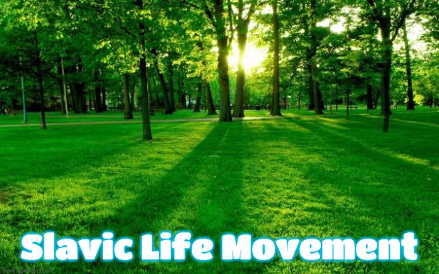 Grass and trees | Slavic Life Movement | image tagged in grass and trees,slavic life movement | made w/ Imgflip meme maker