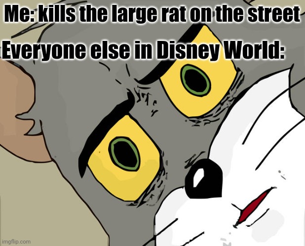 hello there | Me: kills the large rat on the street; Everyone else in Disney World: | image tagged in memes,unsettled tom | made w/ Imgflip meme maker