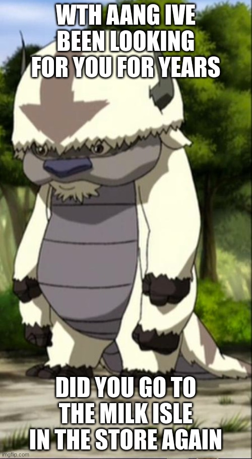 Appa | WTH AANG IVE BEEN LOOKING FOR YOU FOR YEARS DID YOU GO TO THE MILK ISLE IN THE STORE AGAIN | image tagged in appa | made w/ Imgflip meme maker