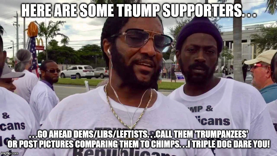Stupid is as racist does. |  HERE ARE SOME TRUMP SUPPORTERS. . . . . .GO AHEAD DEMS/LIBS/LEFTISTS. . .CALL THEM 'TRUMPANZEES' OR POST PICTURES COMPARING THEM TO CHIMPS. . .I TRIPLE DOG DARE YOU! | image tagged in racist,stupid,democrats | made w/ Imgflip meme maker