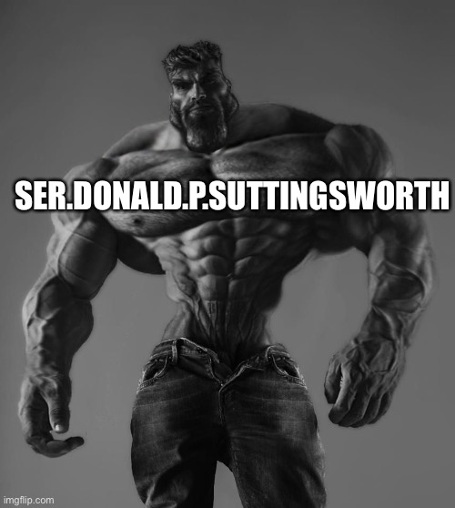 GigaChad | SER.DONALD.P.SUTTINGSWORTH | image tagged in gigachad | made w/ Imgflip meme maker