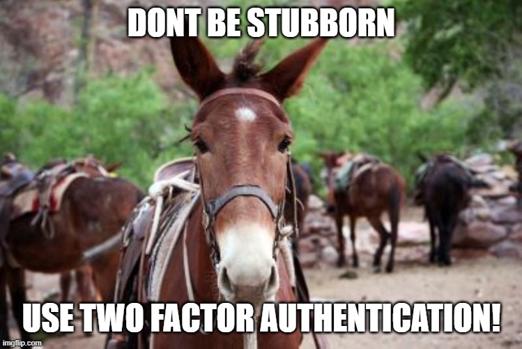 Mule And Cybersecurity | DONT BE STUBBORN; USE TWO FACTOR AUTHENTICATION! | image tagged in memes | made w/ Imgflip meme maker