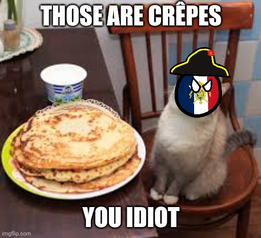 Blini Cat | THOSE ARE CRÊPES; YOU IDIOT | image tagged in blini cat | made w/ Imgflip meme maker