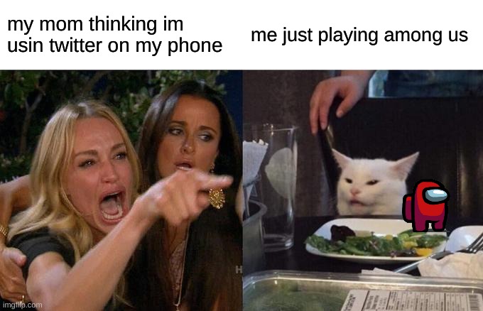 Woman Yelling At Cat Meme | my mom thinking im usin twitter on my phone; me just playing among us | image tagged in memes,woman yelling at cat,among us | made w/ Imgflip meme maker