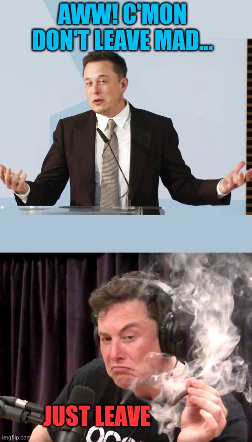 Down to Electric Avenue | AWW! C'MON DON'T LEAVE MAD... JUST LEAVE | image tagged in elon musk,elon musk weed,twitter | made w/ Imgflip meme maker