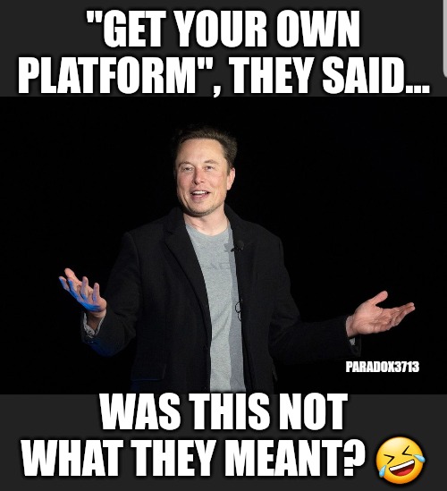 I'M RICH B*TCH!   LOL! |  "GET YOUR OWN PLATFORM", THEY SAID... PARADOX3713; WAS THIS NOT WHAT THEY MEANT? 🤣 | image tagged in memes,funny,elon musk,winning,twitter,rick james | made w/ Imgflip meme maker