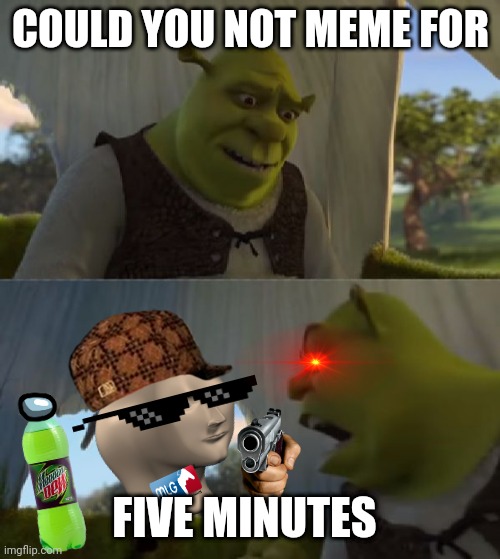 Could you not ___ for 5 MINUTES | COULD YOU NOT MEME FOR; FIVE MINUTES | image tagged in could you not ___ for 5 minutes | made w/ Imgflip meme maker