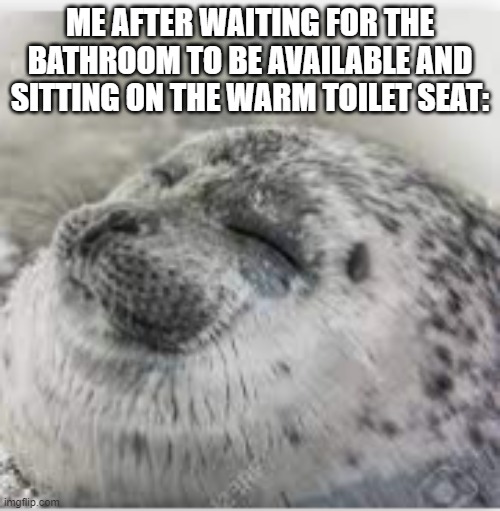 Happy seal | ME AFTER WAITING FOR THE BATHROOM TO BE AVAILABLE AND SITTING ON THE WARM TOILET SEAT: | image tagged in happy seal | made w/ Imgflip meme maker
