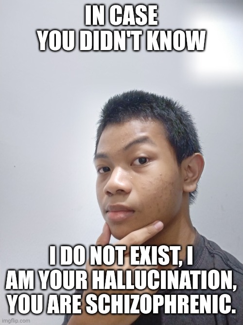 i don't exist anymore because malaysia has been nuked, so i am just your hallucination. | IN CASE YOU DIDN'T KNOW; I DO NOT EXIST, I AM YOUR HALLUCINATION, YOU ARE SCHIZOPHRENIC. | made w/ Imgflip meme maker