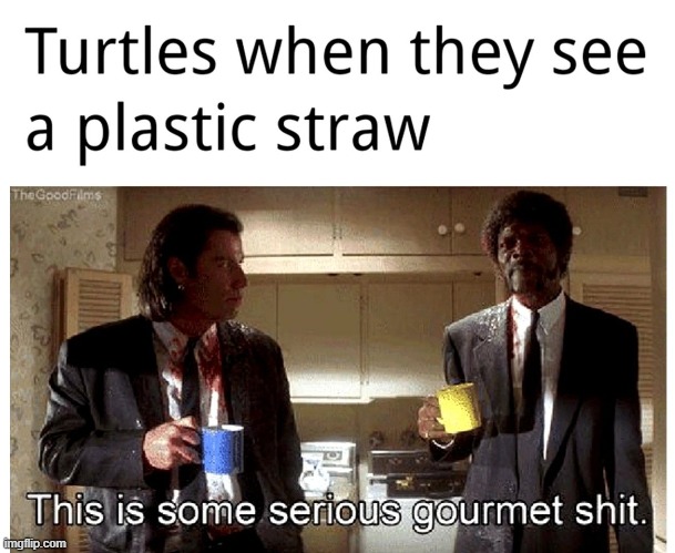 . | Turtles when they see a plastic straw | image tagged in this is some serious gourmet shit | made w/ Imgflip meme maker